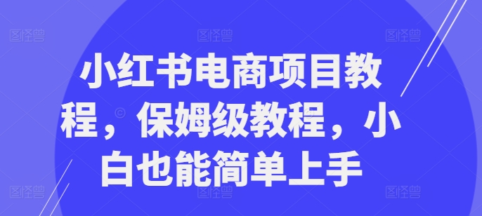 小红书电商项目教程，保姆级教程，小白也能简单上手-创新Ovo