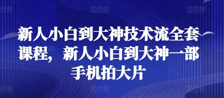 新人小白到大神技术流全套课程，新人小白到大神一部手机拍大片-创新Ovo