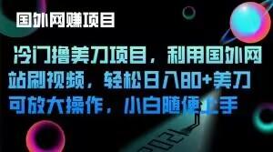 冷门撸美刀项目，利用国外网站刷视频，轻松日入80+美刀，可放大操作，小白随便上手-创新Ovo