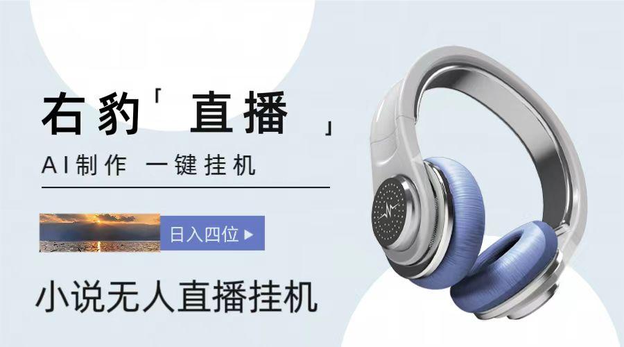 右豹小说无人直播挂机吸金项目，简单易行收益稳定， 月入1000+-创新Ovo