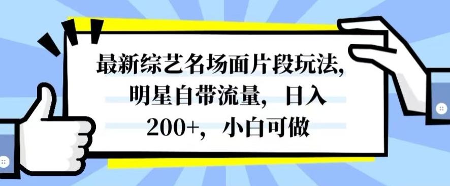 最新综艺名场面片段玩法，明星自带流量，日入200+，小白可做【揭秘】-创新Ovo