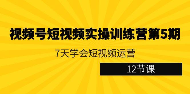 视频号短视频实操训练营第5期：7天学会短视频运营(12节课)-创新Ovo