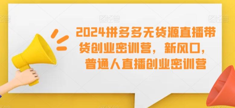 2024拼多多无货源直播带货创业密训营，新风口，普通人直播创业密训营-创新Ovo