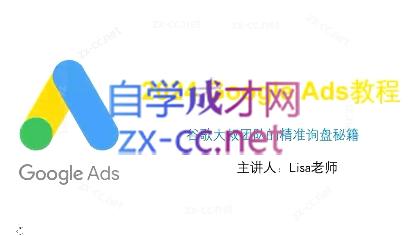谷歌大叔·2024Google Ads教程-创新Ovo