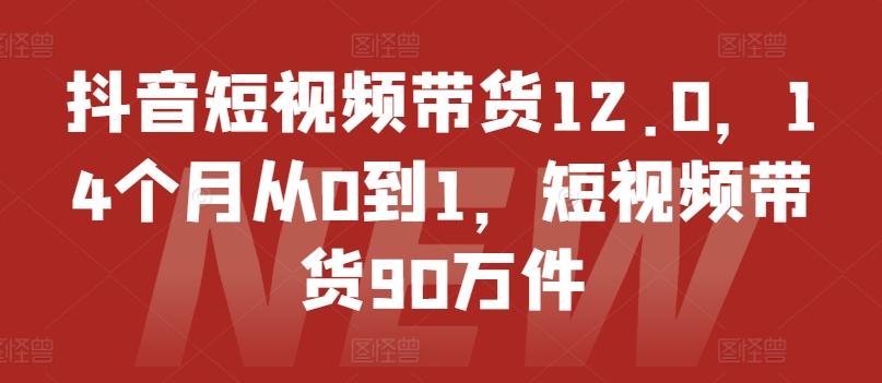 抖音短视频带货12.0，14个月从0到1，短视频带货90万件-创新Ovo
