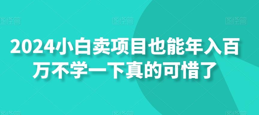 2024小白卖项目也能年入百万不学一下真的可惜了-创新Ovo
