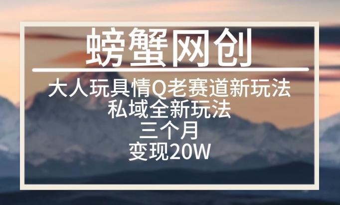 大人玩具情Q用品赛道私域全新玩法，三个月变现20W，老项目新思路【揭秘】-创新Ovo