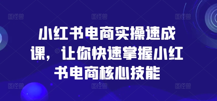 小红书电商实操速成课，让你快速掌握小红书电商核心技能-创新Ovo