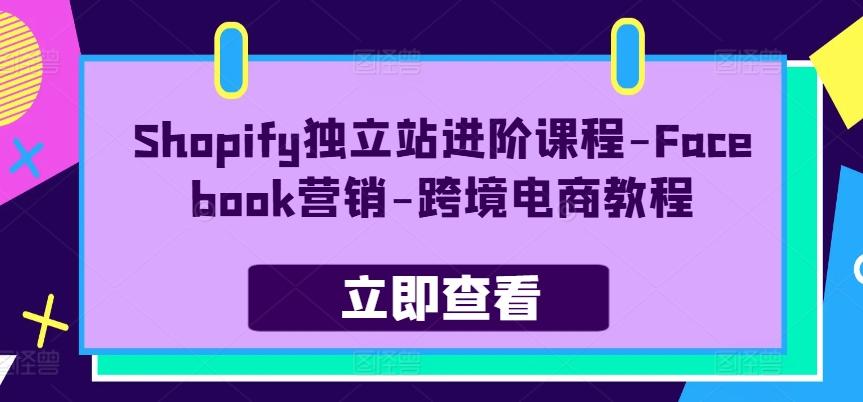 Shopify独立站进阶课程-Facebook营销-跨境电商教程-创新Ovo