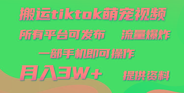(9618期)搬运Tiktok萌宠类视频，一部手机即可。所有短视频平台均可操作，月入3W+-创新Ovo
