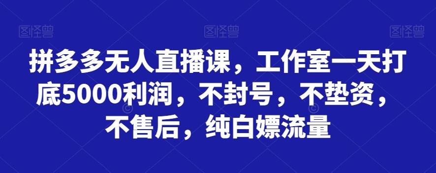 拼多多无人直播课，工作室一天打底5000利润，不封号，不垫资，不售后，纯白嫖流量-创新Ovo