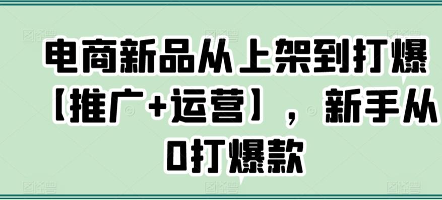 电商新品从上架到打爆【推广+运营】，新手从0打爆款-创新Ovo