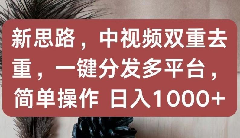 新思路，中视频双重去重，一键分发多平台，简单操作，日入1000+【揭秘】-创新Ovo