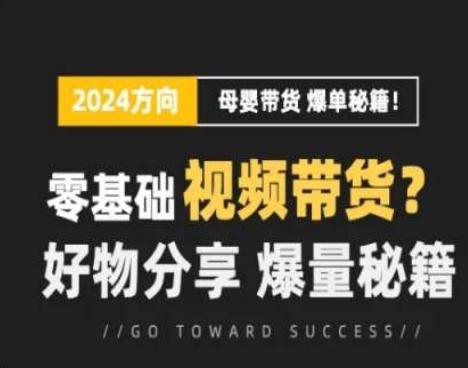 短视频母婴赛道实操流量训练营，零基础视频带货，好物分享，爆量秘籍-创新Ovo