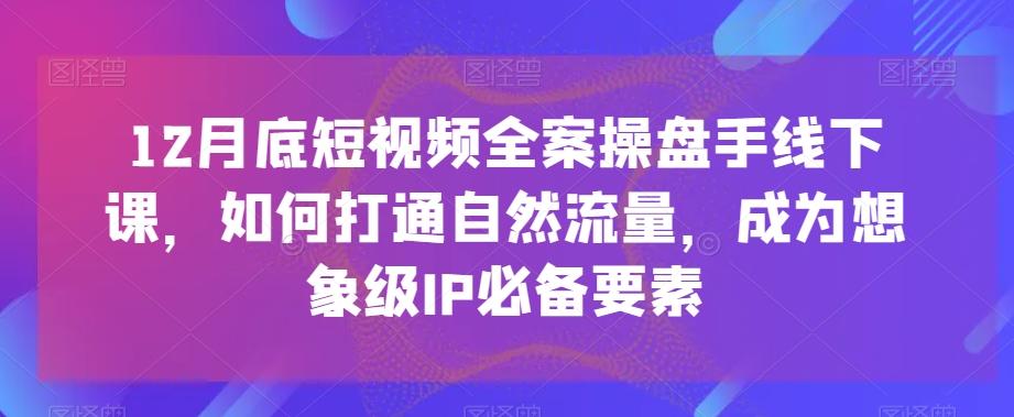 12月底短视频全案操盘手线下课，如何打通自然流量，成为想象级IP必备要素-创新Ovo