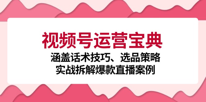 视频号运营宝典：涵盖话术技巧、选品策略、实战拆解爆款直播案例-创新Ovo
