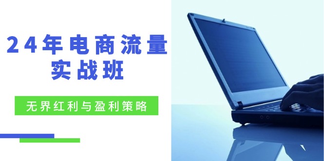 24年电商流量实战班：无界 红利与盈利策略，终极提升/关键词优化/精准…-创新Ovo