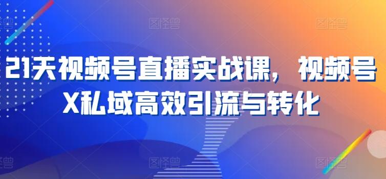 21天视频号直播实战课，视频号X私域高效引流与转化-创新Ovo