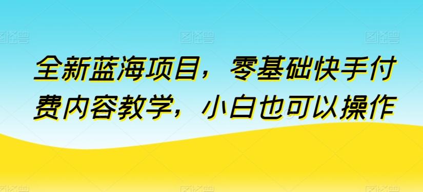 全新蓝海项目，零基础快手付费内容教学，小白也可以操作【揭秘】-创新Ovo