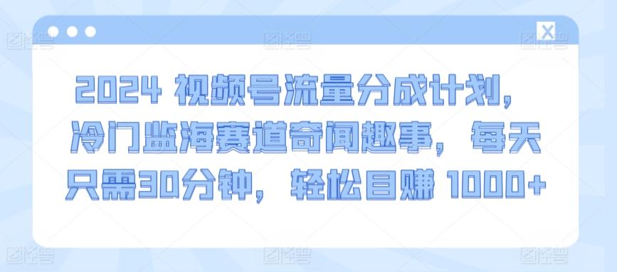 2024视频号流量分成计划，冷门监海赛道奇闻趣事，每天只需30分钟，轻松目赚 1000+【揭秘】-创新Ovo
