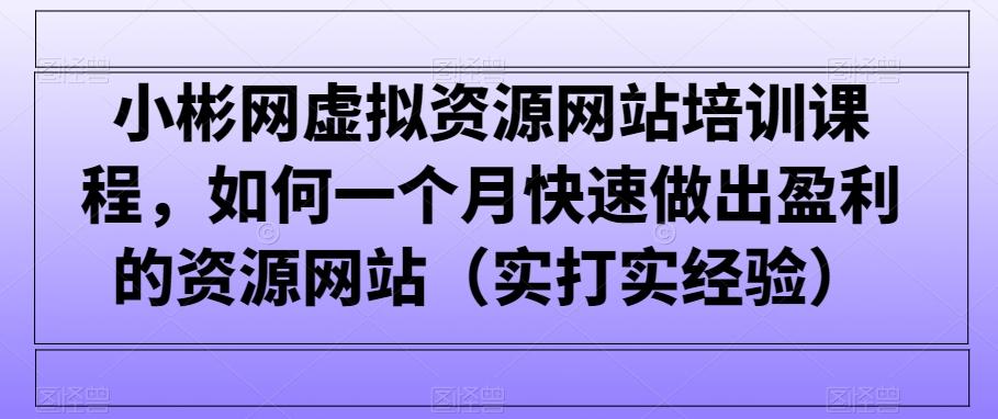 小彬网虚拟资源网站培训课程，如何一个月快速做出盈利的资源网站(实打实经验)-创新Ovo