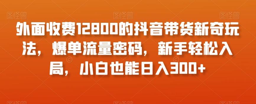 外面收费12800的抖音带货新奇玩法，爆单流量密码，新手轻松入局，小白也能日入300+【揭秘】-创新Ovo