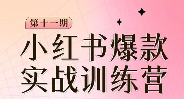 小红书博主爆款训练营第11期，手把手教你从0-1做小红书，从定位到起号到变现-创新Ovo