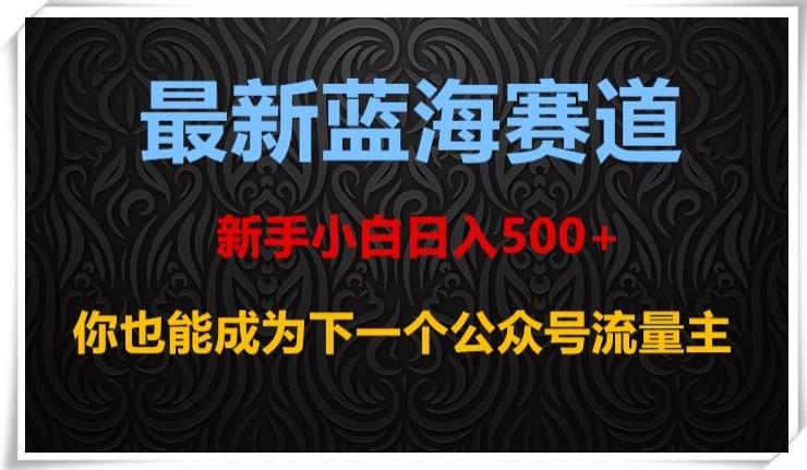 最新蓝海赛道，新手小白日入500+，你也能成为下一个公众号流量主【揭秘】-创新Ovo