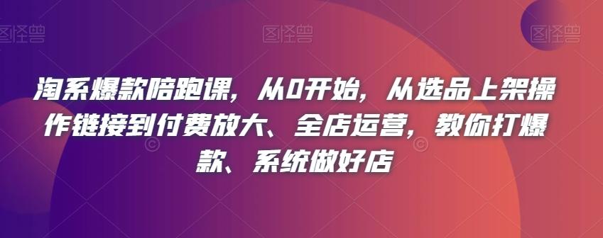 淘系爆款陪跑课，从0开始，从选品上架操作链接到付费放大、全店运营，教你打爆款、系统做好店-创新Ovo