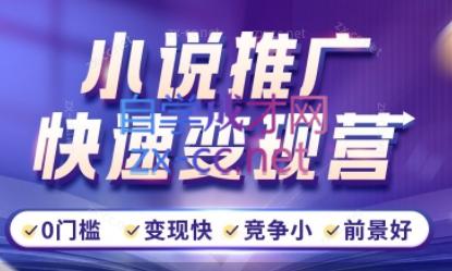 洲洲老师·小说推广快速变现营-创新Ovo