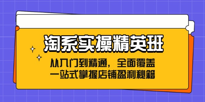 淘系实操精英班：从入门到精通，全面覆盖，一站式掌握店铺盈利秘籍-创新Ovo