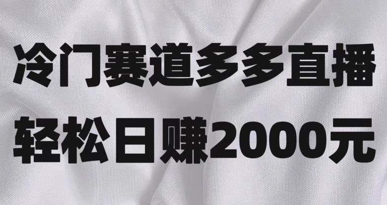 冷门赛道拼多多直播，简单念稿子，日收益2000＋【揭秘】-创新Ovo