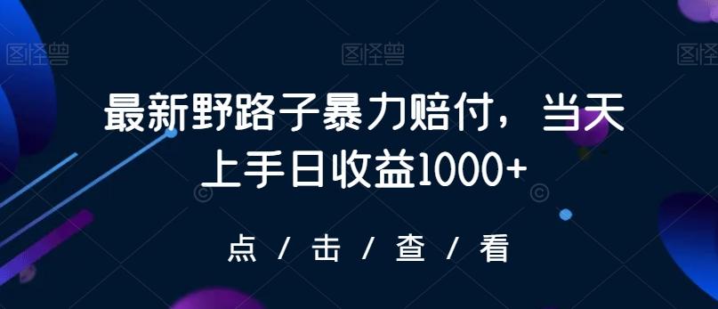 最新野路子暴力赔付，当天上手日收益1000+【仅揭秘】-创新Ovo