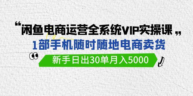 (9547期)闲鱼电商运营全系统VIP实战课，1部手机随时随地卖货，新手日出30单月入5000-创新Ovo