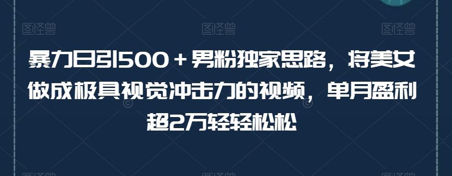 暴力日引500＋男粉独家思路，将美女做成极具视觉冲击力的视频，单月盈利超2万轻轻松松-创新Ovo
