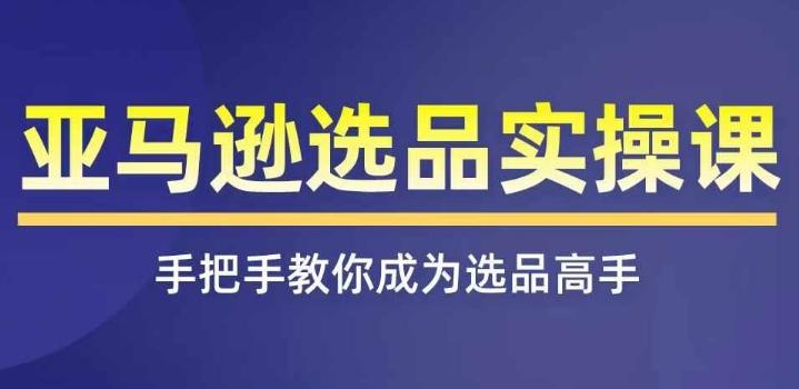 亚马逊选品实操课程，快速掌握亚马逊选品的技巧，覆盖亚马逊选品所有渠道-创新Ovo