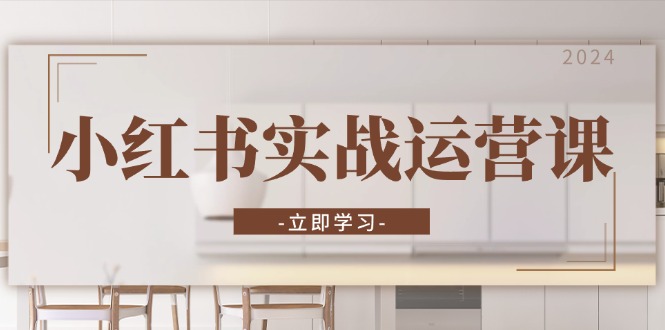 小红书实战运营课：从开通店铺到直播话术，打造爆款笔记与高效直播-创新Ovo