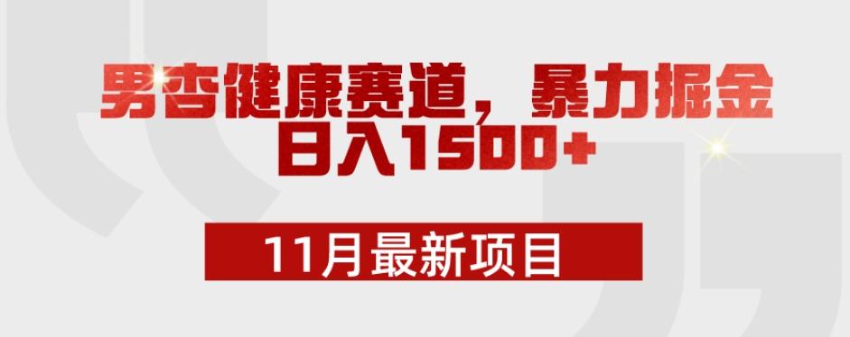 11月最新项目，男杏健康赛道，暴力掘金，日入1500+-创新Ovo