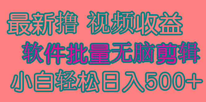 (9569期)发视频撸收益，软件无脑批量剪辑，第一天发第二天就有钱-创新Ovo