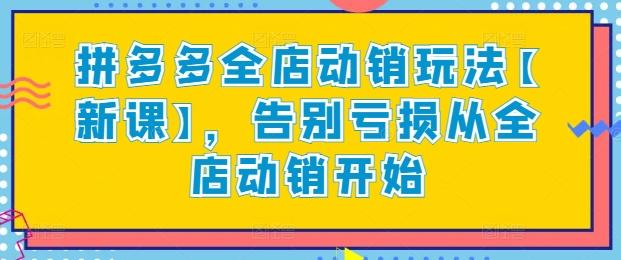 拼多多全店动销玩法【新课】，告别亏损从全店动销开始-创新Ovo