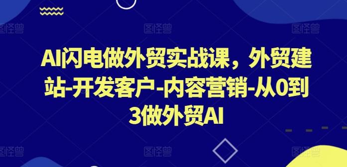 AI闪电做外贸实战课，​外贸建站-开发客户-内容营销-从0到3做外贸AI-创新Ovo