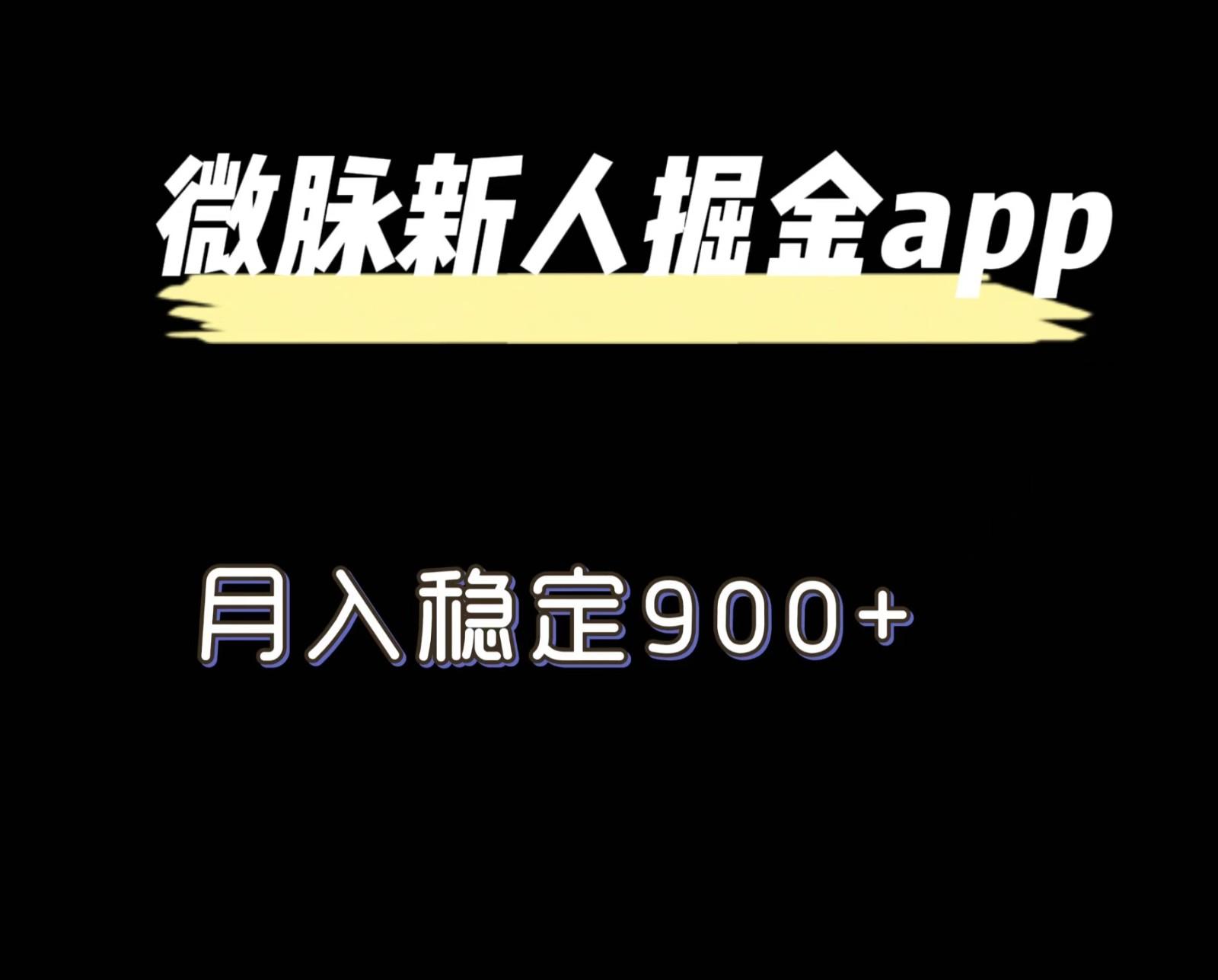 最新微脉长久项目，拉新掘金，月入稳定900+-创新Ovo