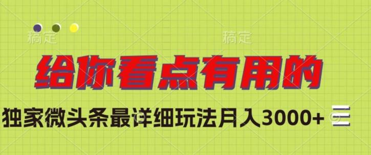独家微头条最详细玩法，月入3000+【揭秘】-创新Ovo