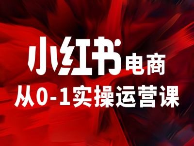 小红书电商从0-1实操运营课，让你从小白到精英-创新Ovo