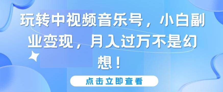 玩转中视频音乐号，小白副业变现，月入过万不是幻想【揭秘】-创新Ovo