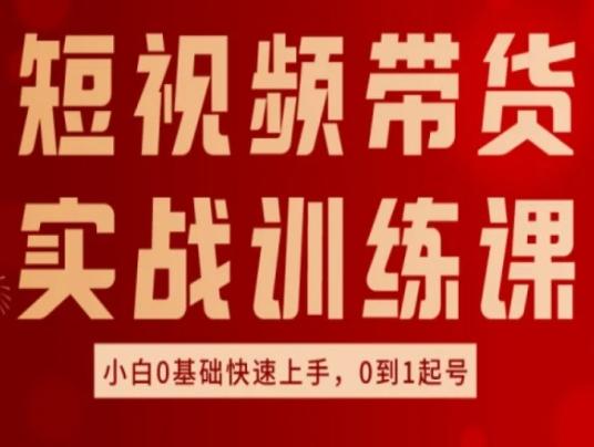 短视频带货实战训练课，好物分享实操，小白0基础快速上手，0到1起号-创新Ovo