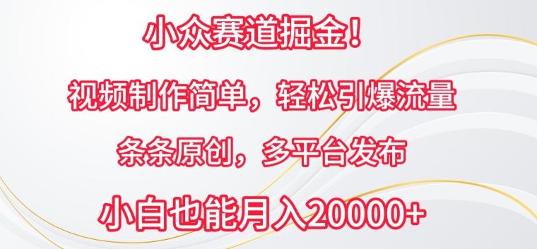 小众赛道掘金，视频制作简单，轻松引爆流量，条条原创，多平台发布【揭秘】-创新Ovo