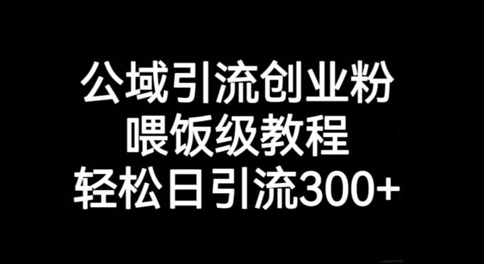 公域引流创业粉，喂饭级教程，轻松日引流300+【揭秘】-创新Ovo