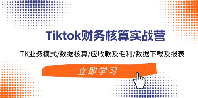 Tiktok财务核算实战营：TK业务模式/数据核算/应收款及毛利/数据下载及报表-创新Ovo