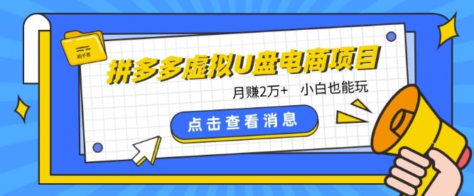 拼多多虚拟U盘电商红利项目：月赚2万+，新手小白也能玩-创新Ovo